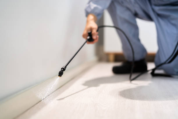 Licensed Pest Control service in Hammond, WI - Show Me Pest Control