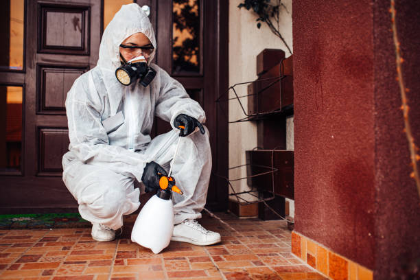 Attic and Crawl Space Rodent Treatment in Hammond